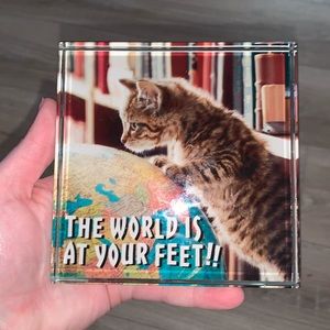The World is at Your Feet Cat Lover Glass Picture Decor